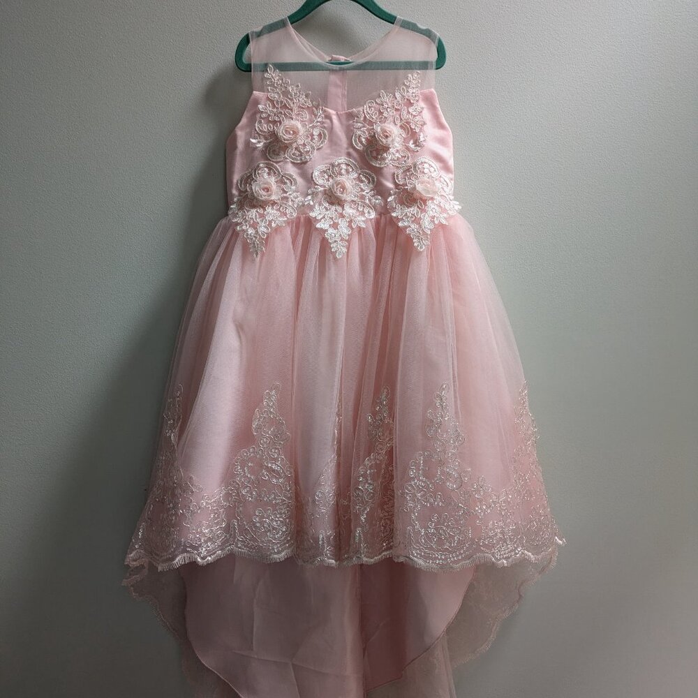 Little Girls fancy/princess dress